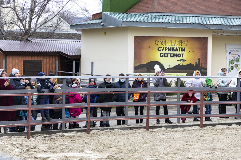 Ростовский-на-Дону зоопарк посетят более 300 детей из ДНР и ЛНР