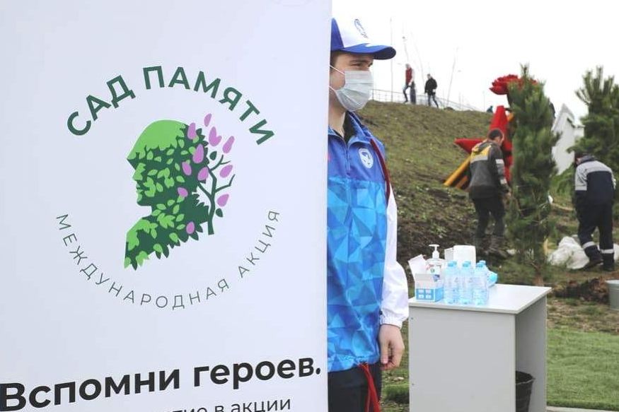 Жителей Ростовской области пригласили поучаствовать в Международной акции «Сад Памяти»