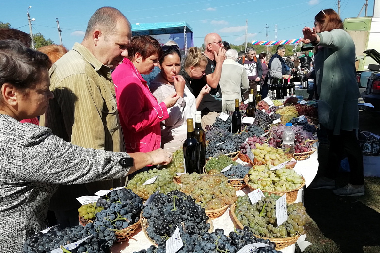 В Ростовской области теперь будут проводить винодельческие ярмарки