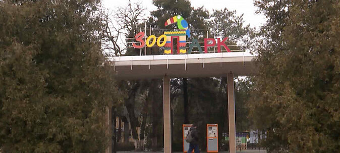 В Ростовском зоопарке снизилась стоимость билетов