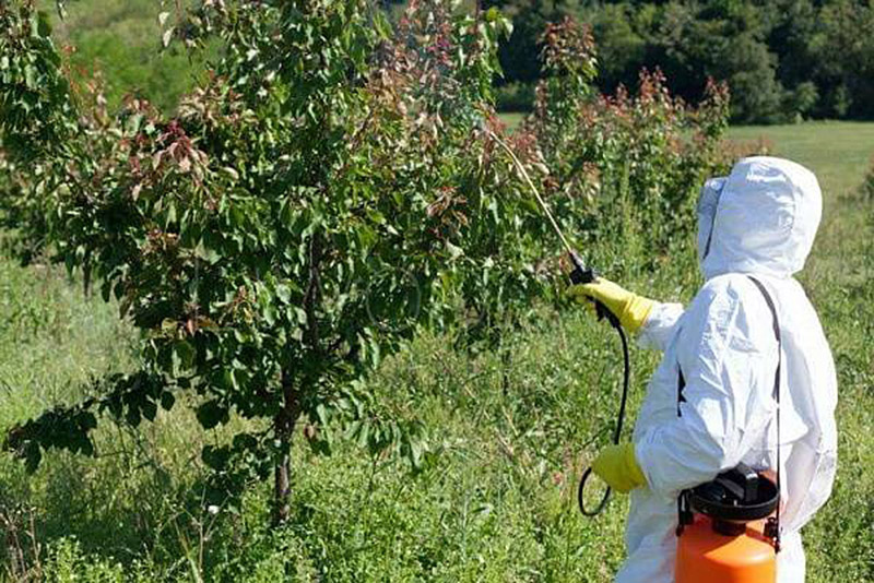 ООО « Плоды Приазовья» начинает химические обработки садов и полей 