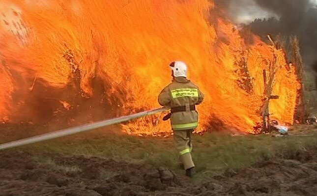 В Ростовской области прогнозируют усиление пожарной опасности