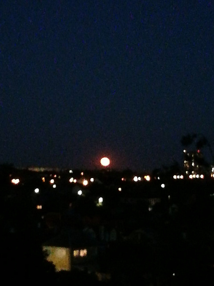 Жители Ростовской области наблюдали восход красной луны