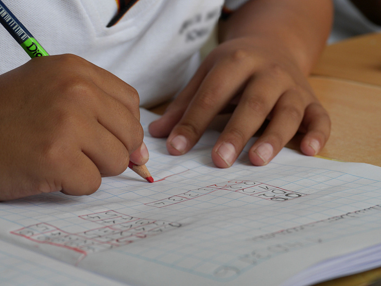 Сегодня более 4,5 тысяч донских школьников сдали ЕГЭ по биологии и иностранным языкам