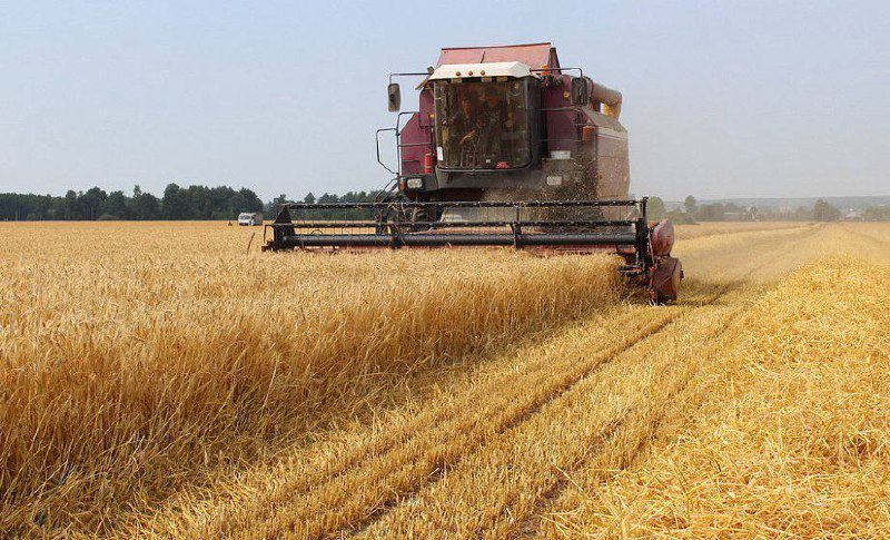 Уборка ранних зерновых и зернобобовых культур