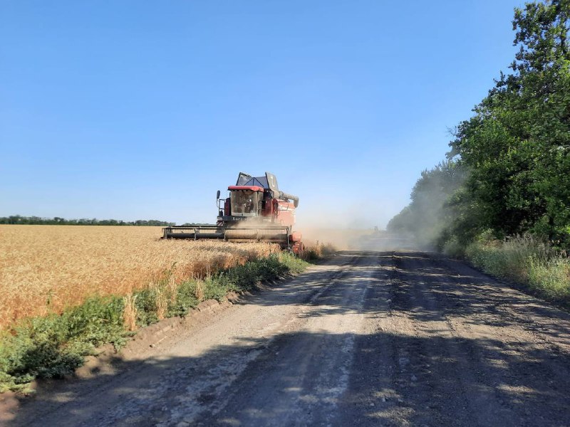 В Азовском районе началась активная фаза уборки зерновых культур