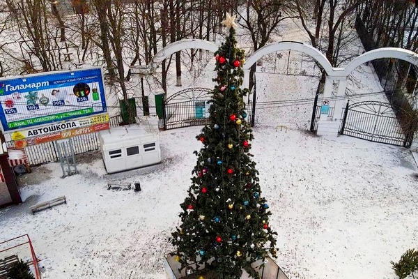 Власти Азова рассказали о том, какой будет городская новогодняя елка