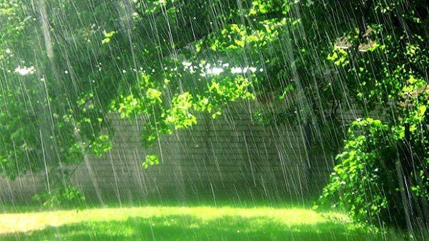 В Азовском районе в начале августа придут затяжные дожди