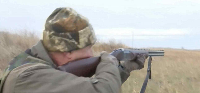 В Ростовской области открылся сезон охоты на лосей, ланей и оленей
