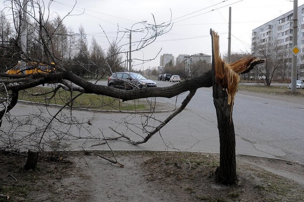 Жителей Азова предупредили о штормовом ветре