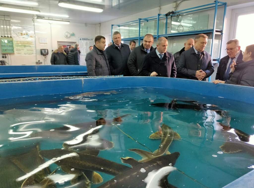 Глава администрации Азовского района  принял участие в заседании коллегии минсельхоза по развитию рыбной отрасли