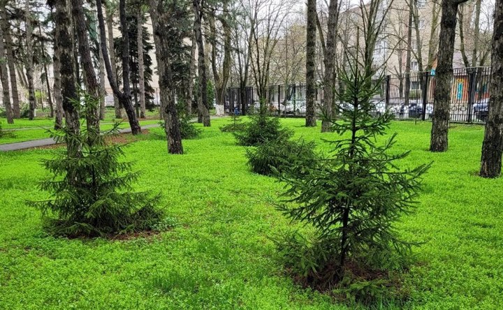 В Азовском районе ненадолго потеплеет, но вновь пойдут дожди