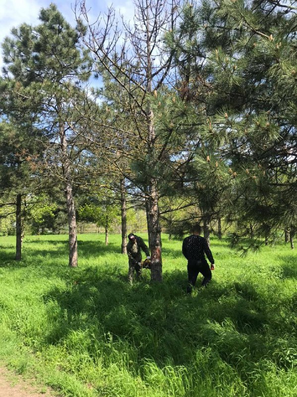 Село Займо обрыв Азовский район