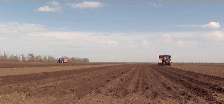 На полях Ростовской области завершается сев картофеля