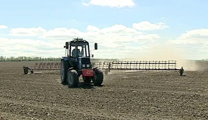 В Ростовской области высадили половину будущего урожая овощей и картофеля