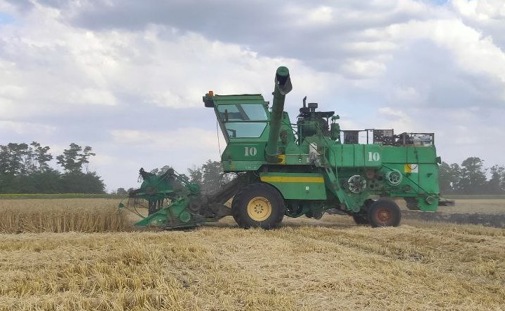 В Азовском районе более 800 единиц техники выйдут на уборку ранних зернобобовых культур
