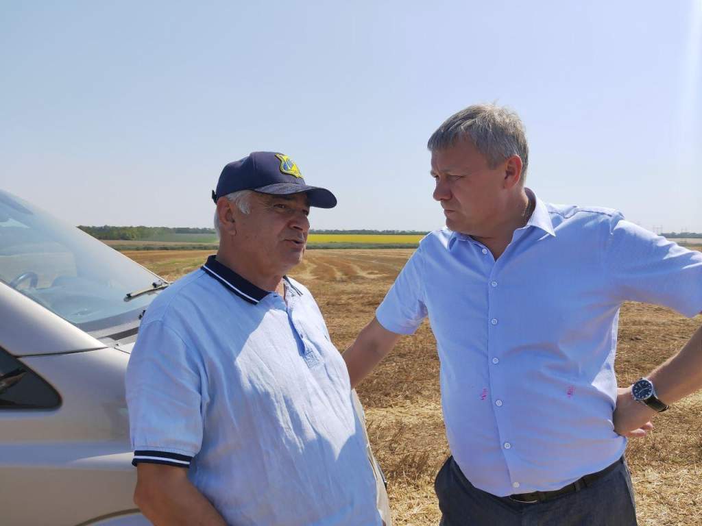 Валовой сбор зерна в Азовском районе превысил полмиллиона тонн