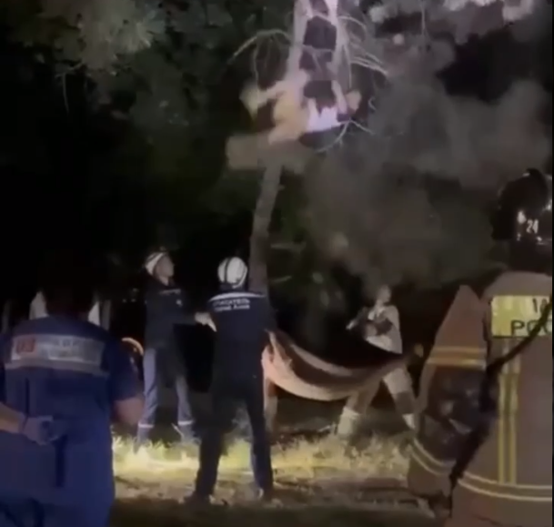 Азовским спасателям пришлось ловить перепрыгивавшего с дерева на дерево мужчину