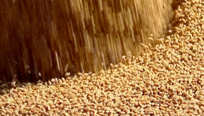 Почти 760 тыс. тонн зерна погрузили на железнодорожные составы на Дону с начала этого года