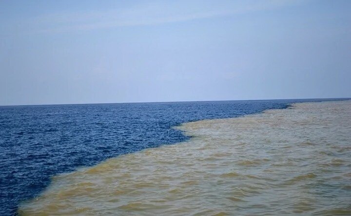 Солёность Азовского моря стала почти такой же, как Чёрного