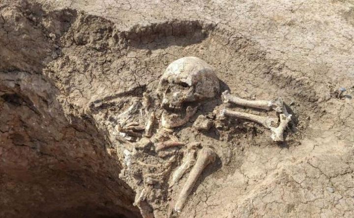 В Азовском районе нашли захоронения эпохи средней бронзы возрастом около 4 тысяч лет