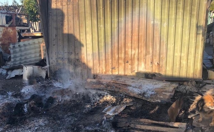 В Азове в приюте бездомных животных сгорела кухня
