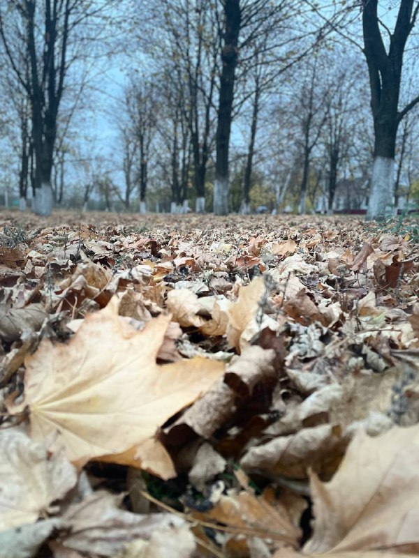 На этой неделе в Азовский район придёт резкое похолодание