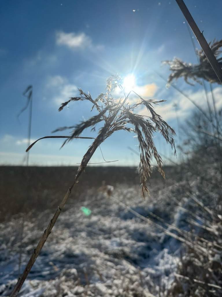 В начале февраля в Азовском районе резко потеплеет