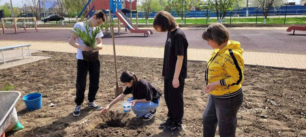 В Азовском районе подвели итоги областного Дня древонасаждения и Международной акции «Сад Памяти»