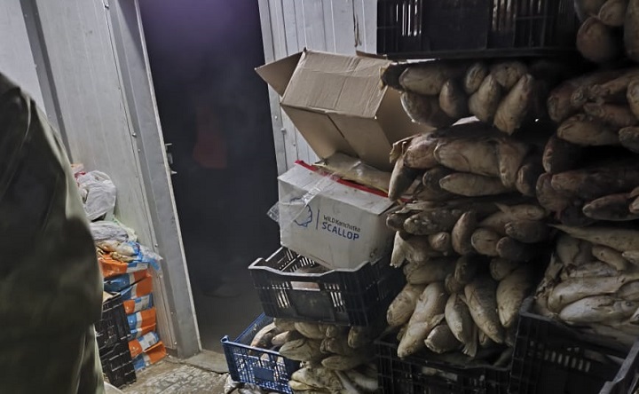 В Азовском районе пограничники нашли 3,5 тонны незаконной рыбной продукции на 11 млн рублей