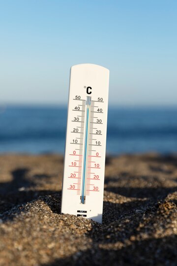 Рекордная жара и подтопления ожидаются летом 2024 года