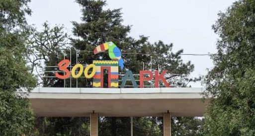 Ростовский зоопарк озеленяют к летнему сезону