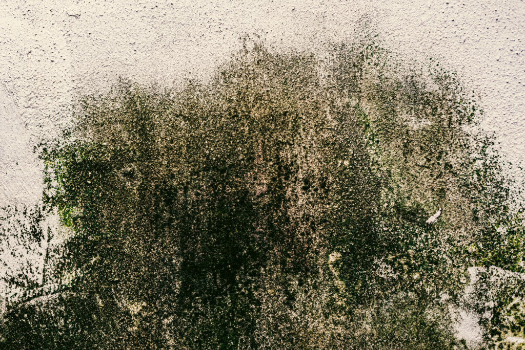 Photo of wall texture pattern Журналист