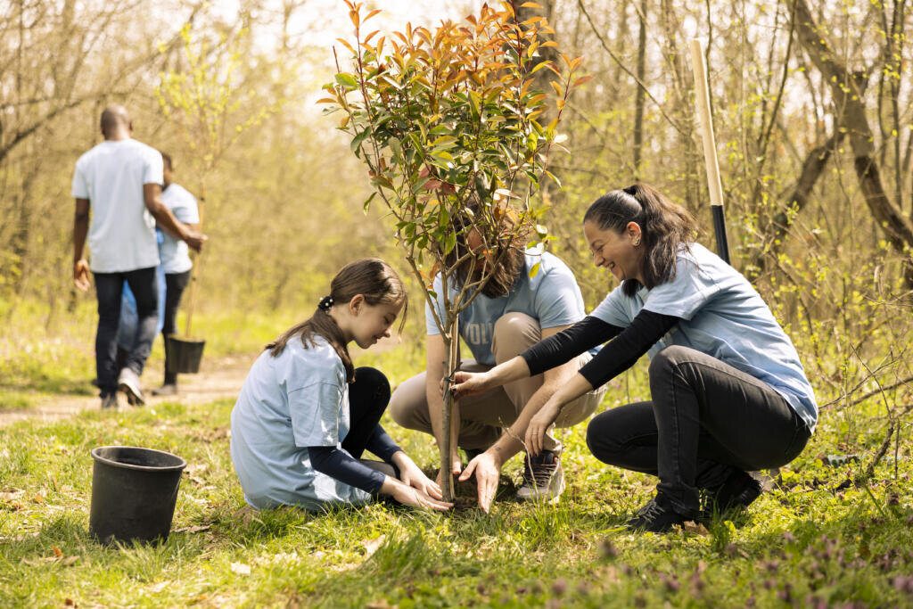 Volunteers and a little kid planting tree and covering hole in the ground, contributing to reforestation and increasing vegetation in the woods. Dedicated people working together for the nature. Журналист