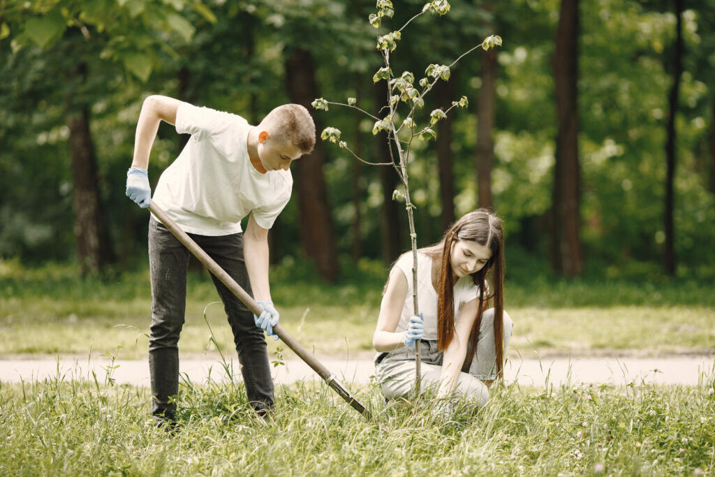Group of young volunteers in park. They are planting a tree seedling. Журналист