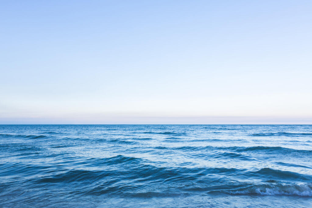 Blue sea Журналист