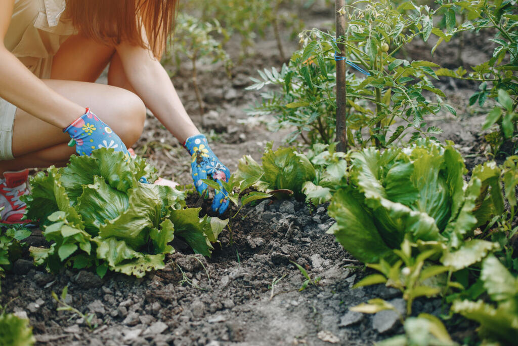 Woman works in a garden. Lady in a blue gloves Журналист